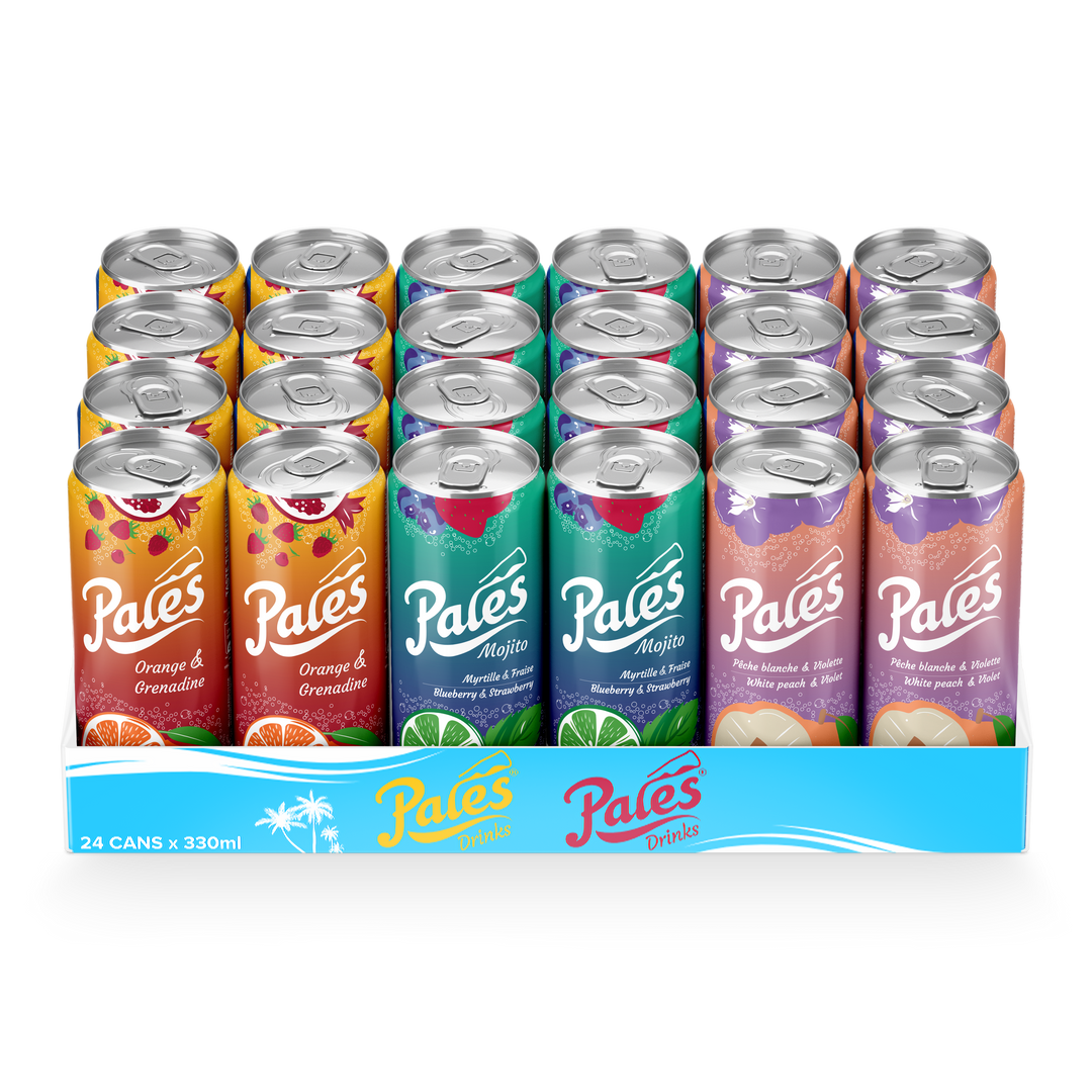 PALES GOUTS MIXTE - SLIM - 33 CL * 24 (BE)